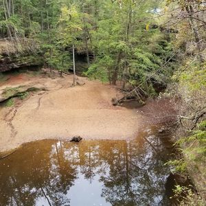 Meet your Posher, Dee